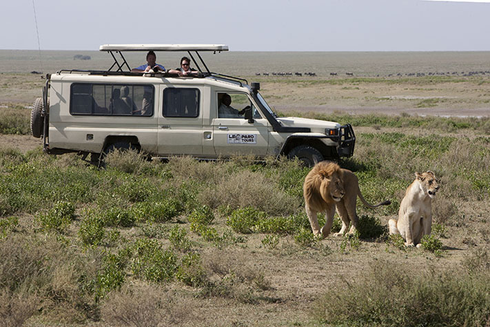 Serengeti, Tanzania